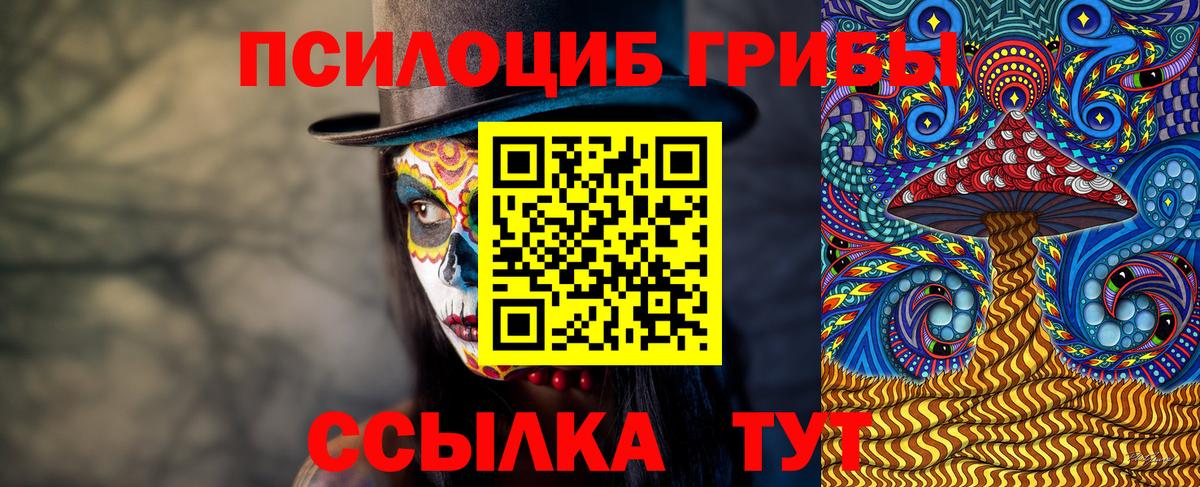 Галлюциногенные грибы Psilocybe Кудымкар