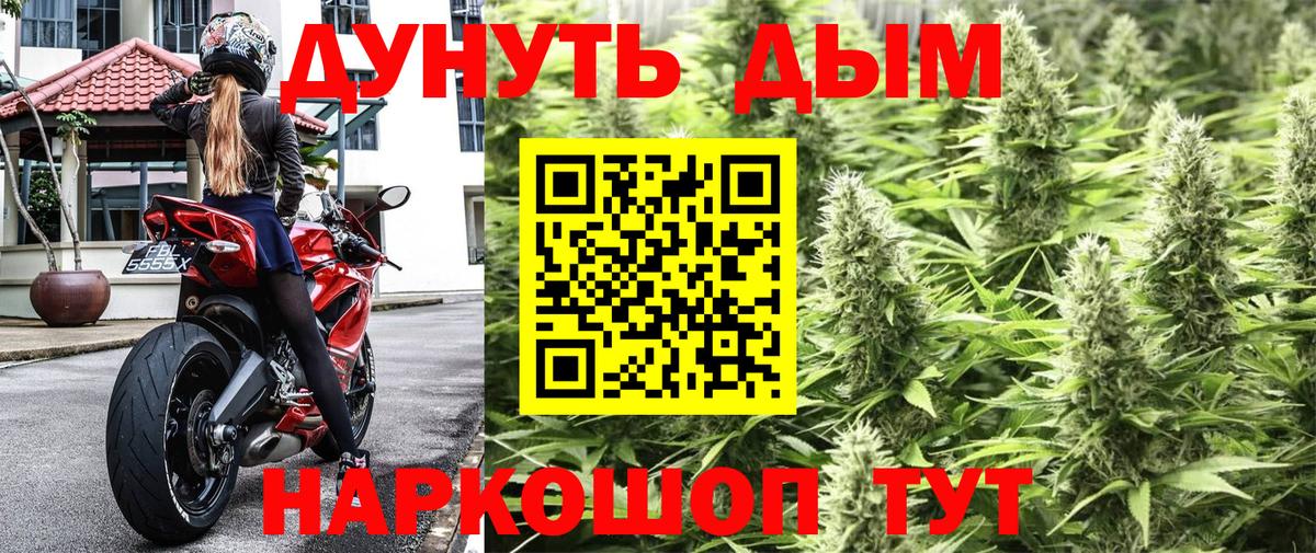 Бошки марихуана марихуана  Канабис планчик  Шишки марихуана AK-47  Вход с VPN  Кудымкар 